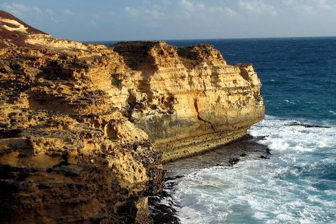 Half Day Phillip Island Woolamai Walking Tour - Accommodation Sydney 12