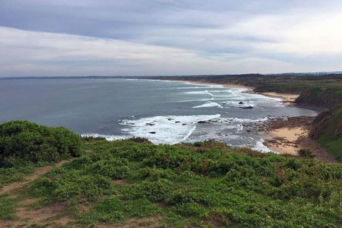 Half Day Phillip Island Woolamai Walking Tour - Accommodation Sydney 13