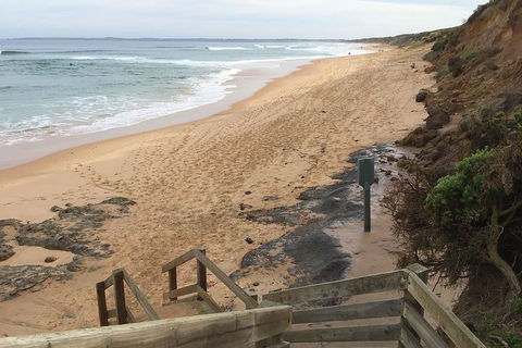 Half Day Phillip Island Woolamai Walking Tour - Accommodation Sydney 11