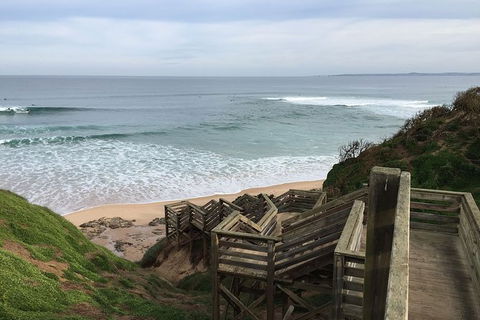 Half Day Phillip Island Woolamai Walking Tour - Accommodation Sydney 5