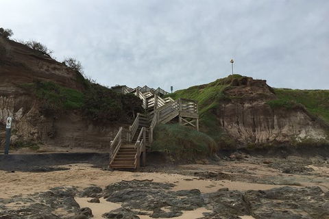 Half Day Phillip Island Woolamai Walking Tour - Accommodation Sydney 14