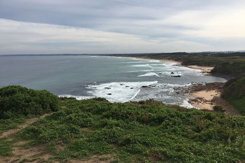 Half Day Phillip Island Woolamai Walking Tour - Accommodation Sydney 10