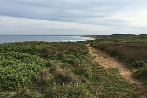 Half Day Phillip Island Woolamai Walking Tour - Accommodation Sydney 3