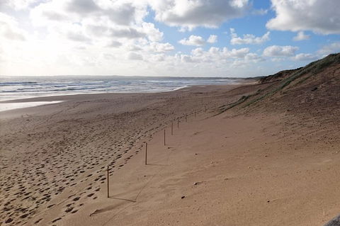 Half Day Phillip Island Woolamai Walking Tour - Accommodation Sydney 7