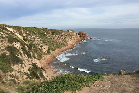 Half Day Phillip Island Woolamai Walking Tour - Accommodation Sydney 2
