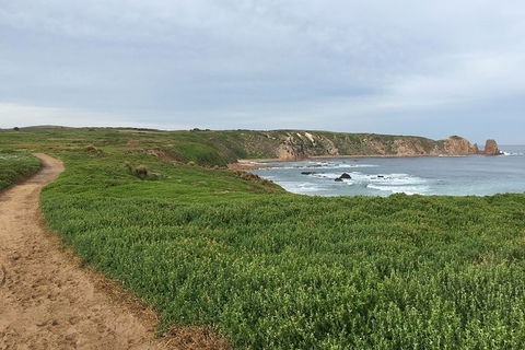 Half Day Phillip Island Woolamai Walking Tour - Accommodation Sydney 9
