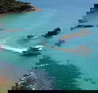 Cape Woolamai Sightseeing Cruise from San Remo - Accommodation Sydney