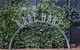 Small Group 6 Guests: Ultimate Mornington Peninsula Food And Wine - thumb 1