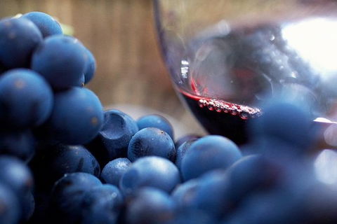 Small Group 6 Guests: Ultimate Mornington Peninsula Food And Wine - Accommodation Sydney 2
