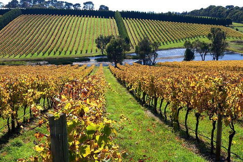 Small Group 6 Guests: Ultimate Mornington Peninsula Food And Wine - Accommodation Sydney 3