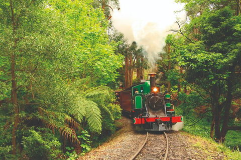 Half Day Puffing Billy Train Journey From Melbourne - Accommodation Sydney 2