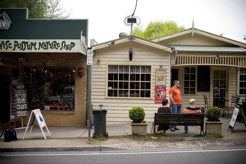 Half Day Puffing Billy Train Journey From Melbourne - Accommodation Sydney 10