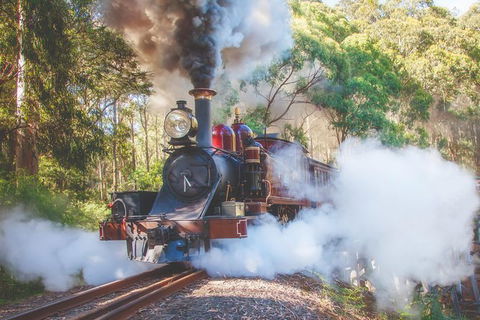 Half Day Puffing Billy Train Journey From Melbourne - Accommodation Sydney 4
