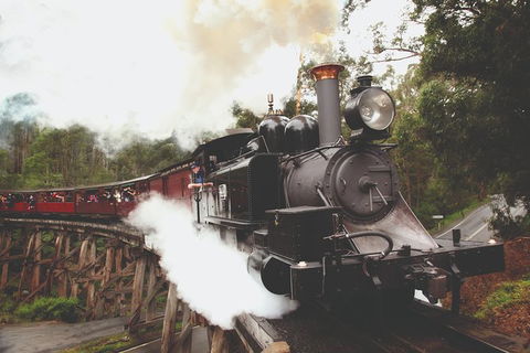 Half Day Puffing Billy Train Journey From Melbourne - Accommodation Sydney 3