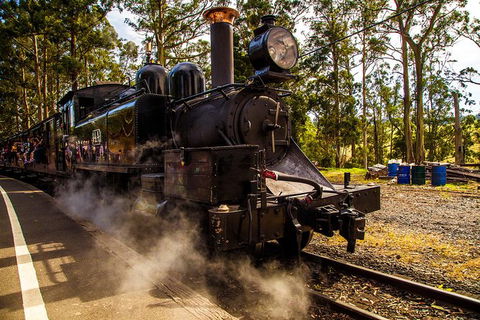 Half Day Puffing Billy Train Journey From Melbourne - Accommodation Sydney 6
