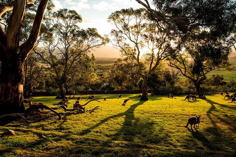 Shore Excursion: Five Of Hobart's Best In One Day - Sydney Resort 1