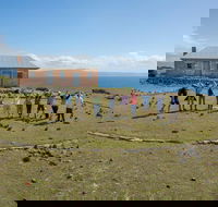 Maria Island Active Day Trip from Hobart - Accommodation Sydney