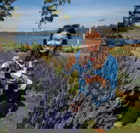 Port Arthur and Lavender Farm Active Day Tour - Accommodation Sydney