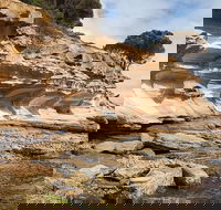 Maria Island premium private photo-oriented day tour from Hobart - Accommodation Sydney