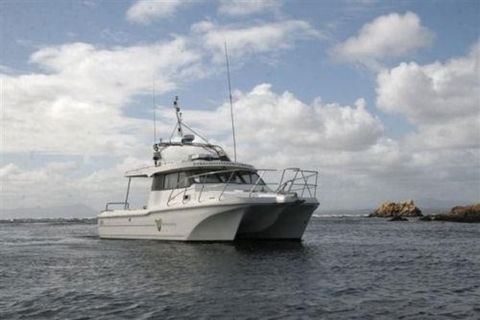 Bonnet Island Experience Departing From Strahan - Accommodation Sydney 1