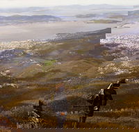 Mt Wellington Half Day Guided Summit Hike - Accommodation Sydney