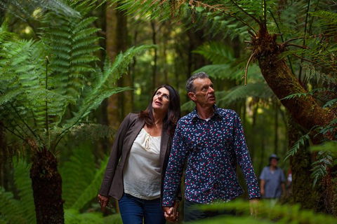 West Coast Wilderness Railway: River And Rainforest From Strahan - Accommodation Sydney 3