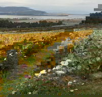 Mona and Wine Experience Tour - Accommodation Sydney