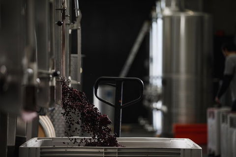 Private 90-minute Moorilla Estate Winery Tour With Tastings And Free Wine Gift - Accommodation Sydney 1