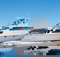 Derwent River Private Harbour Cruise on the 'Odalisque' from Hobart