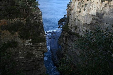 Cruise Ship Special From Port Arthur: Explore Tasman Peninsula With Free WiFi - Accommodation Sydney 1