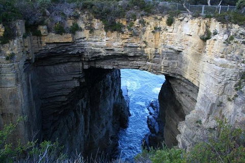 Cruise Ship Special From Port Arthur: Explore Tasman Peninsula With Free WiFi - Accommodation Sydney 0
