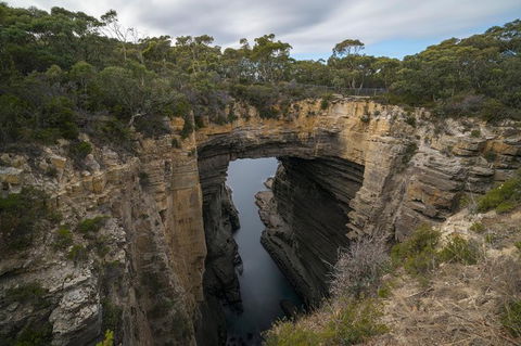 Cruise Ship Special From Port Arthur: Explore Tasman Peninsula With Free WiFi - Accommodation Sydney 2