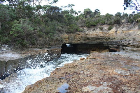 Cruise Ship Special From Port Arthur: Explore Tasman Peninsula With Free WiFi - Accommodation Sydney 7
