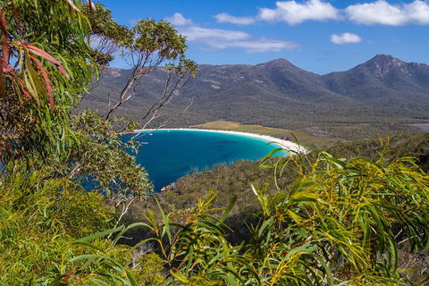 4x4 And Lunch Full Day Freycinet And Wineglass Bay - Accommodation Sydney 1
