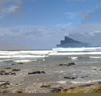 Private Bruny Island Nature Day Trip from Hobart