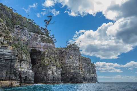 Shore Excursion - Port Arthur - Tasman Peninsula - Accommodation Sydney 1