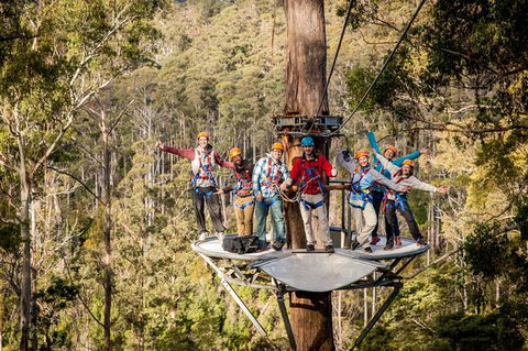 Hollybank Wilderness Adventure - Zipline Tours - Accommodation Sydney 2