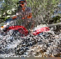 Quad Bike 2-Hour Adventure Freycinet National Park - Accommodation Sydney