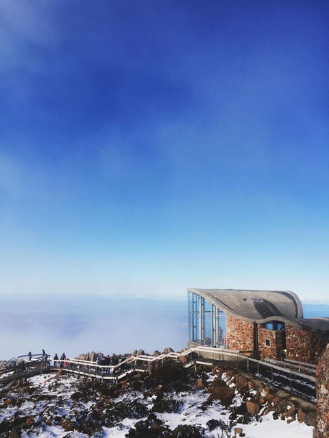 Small-Group Tour From Hobart: Mt Wellington, Bonorong Wildlife Park And Richmond - Accommodation Sydney 2