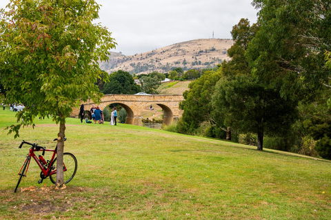Small-Group Tour From Hobart: Mt Wellington, Bonorong Wildlife Park And Richmond - Accommodation Sydney 14