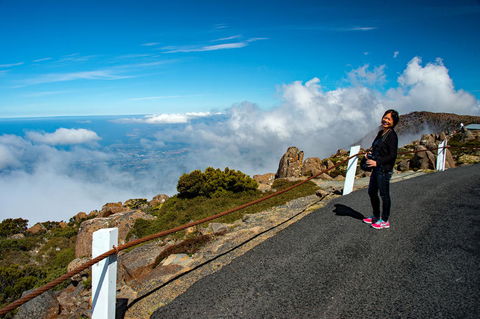 Small-Group Tour From Hobart: Mt Wellington, Bonorong Wildlife Park And Richmond - Accommodation Sydney 12