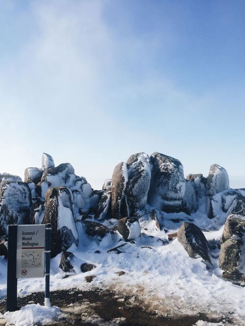 Small-Group Tour From Hobart: Mt Wellington, Bonorong Wildlife Park And Richmond - Accommodation Sydney 3