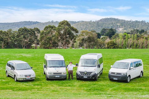 Small-Group Tour From Hobart: Mt Wellington, Bonorong Wildlife Park And Richmond - Accommodation Sydney 21