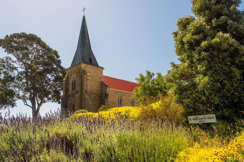 Small-Group Tour From Hobart: Mt Wellington, Bonorong Wildlife Park And Richmond - Accommodation Sydney 27