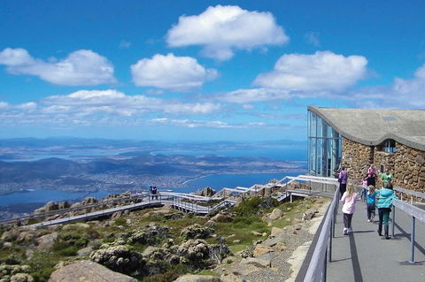 Small-Group Tour From Hobart: Mt Wellington, Bonorong Wildlife Park And Richmond - Accommodation Sydney 19