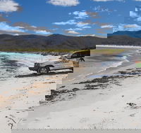 4X4 and Lunch Half Day Bicheno Coastal Mountain - Accommodation Sydney