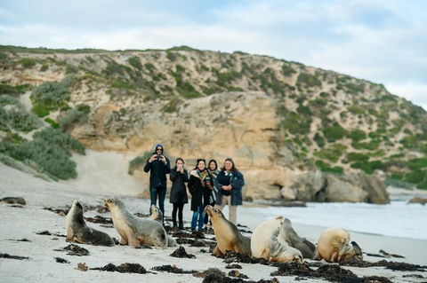 Small-Group Kangaroo Island 4WD Tour From Adelaide - Accommodation Sydney 0