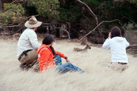 Small-Group Kangaroo Island 4WD Tour From Adelaide - Accommodation Sydney 6