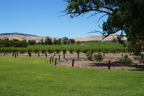 Barossa Valley With Hahndorf Tour From Adelaide - Sydney 4u 3