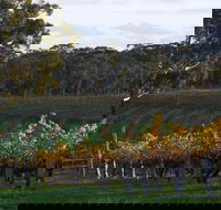 Barossa Valley with Hahndorf Tour from Adelaide - Sydney 4u